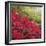 Autumnal Colours II-Bill Philip-Framed Giclee Print