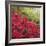 Autumnal Colours II-Bill Philip-Framed Giclee Print