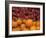 Autumnal Display of Pumpkins Against Virginia Creeper at Organic Farm Shop, Cumbria, UK-Steve & Ann Toon-Framed Photographic Print