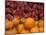 Autumnal Display of Pumpkins Against Virginia Creeper at Organic Farm Shop, Cumbria, UK-Steve & Ann Toon-Mounted Photographic Print