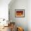 Autumnal Display of Pumpkins Against Virginia Creeper at Organic Farm Shop, Cumbria, UK-Steve & Ann Toon-Framed Photographic Print displayed on a wall