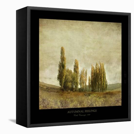 Autumnal Feelings-Carlos Casamayor-Framed Premier Image Canvas