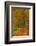 Autumnal forest near Kastel-Staadt, Rhineland-Palatinate, Germany, Europe-Hans-Peter Merten-Framed Photographic Print