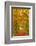 Autumnal forest near Kastel-Staadt, Rhineland-Palatinate, Germany, Europe-Hans-Peter Merten-Framed Photographic Print