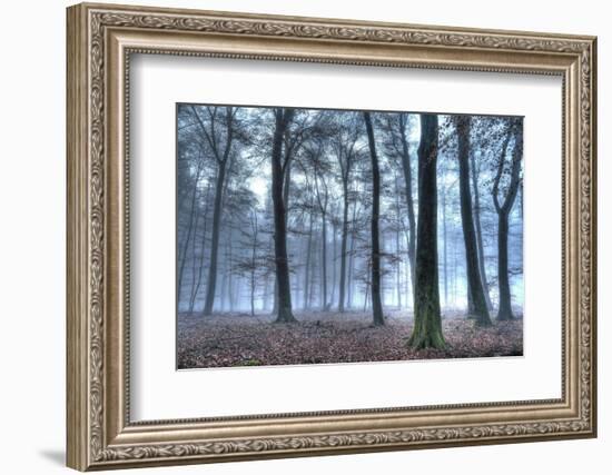 Autumnal forest, Rhineland-Palatinate (Rheinland-Pfalz), Germany, Europe-Hans-Peter Merten-Framed Photographic Print