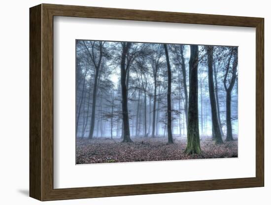 Autumnal forest, Rhineland-Palatinate (Rheinland-Pfalz), Germany, Europe-Hans-Peter Merten-Framed Photographic Print