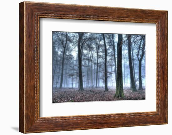 Autumnal forest, Rhineland-Palatinate (Rheinland-Pfalz), Germany, Europe-Hans-Peter Merten-Framed Photographic Print