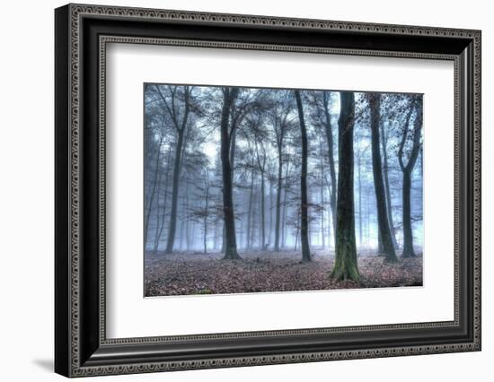 Autumnal forest, Rhineland-Palatinate (Rheinland-Pfalz), Germany, Europe-Hans-Peter Merten-Framed Photographic Print