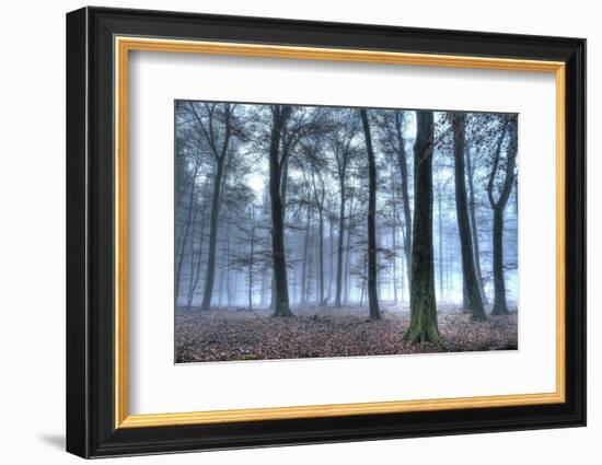 Autumnal forest, Rhineland-Palatinate (Rheinland-Pfalz), Germany, Europe-Hans-Peter Merten-Framed Photographic Print