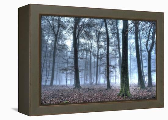 Autumnal forest, Rhineland-Palatinate (Rheinland-Pfalz), Germany, Europe-Hans-Peter Merten-Framed Premier Image Canvas