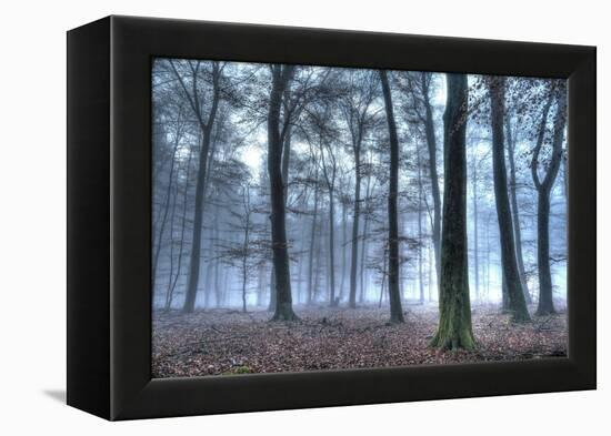 Autumnal forest, Rhineland-Palatinate (Rheinland-Pfalz), Germany, Europe-Hans-Peter Merten-Framed Premier Image Canvas