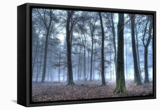 Autumnal forest, Rhineland-Palatinate (Rheinland-Pfalz), Germany, Europe-Hans-Peter Merten-Framed Premier Image Canvas