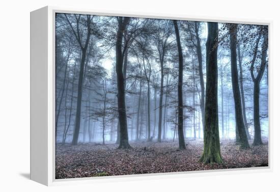 Autumnal forest, Rhineland-Palatinate (Rheinland-Pfalz), Germany, Europe-Hans-Peter Merten-Framed Premier Image Canvas