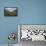 Autumnal Grass and Cloud Gap in the Lafatscherjoch, View at Speckkarspitze and Lafatscher, View of -Rolf Roeckl-Framed Premier Image Canvas displayed on a wall