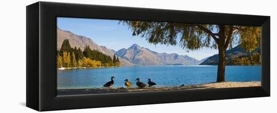 Autumnal Lake Wakatipu at Queenstown, Otago, South Island, New Zealand, Pacific-Matthew Williams-Ellis-Framed Premier Image Canvas