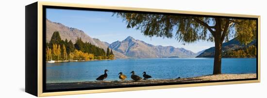 Autumnal Lake Wakatipu at Queenstown, Otago, South Island, New Zealand, Pacific-Matthew Williams-Ellis-Framed Premier Image Canvas