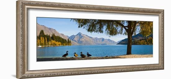 Autumnal Lake Wakatipu at Queenstown, Otago, South Island, New Zealand, Pacific-Matthew Williams-Ellis-Framed Photographic Print