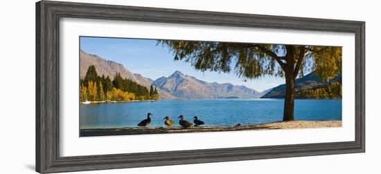 Autumnal Lake Wakatipu at Queenstown, Otago, South Island, New Zealand, Pacific-Matthew Williams-Ellis-Framed Photographic Print