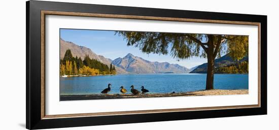 Autumnal Lake Wakatipu at Queenstown, Otago, South Island, New Zealand, Pacific-Matthew Williams-Ellis-Framed Photographic Print