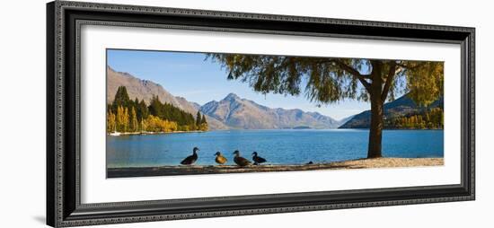 Autumnal Lake Wakatipu at Queenstown, Otago, South Island, New Zealand, Pacific-Matthew Williams-Ellis-Framed Photographic Print