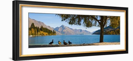 Autumnal Lake Wakatipu at Queenstown, Otago, South Island, New Zealand, Pacific-Matthew Williams-Ellis-Framed Photographic Print