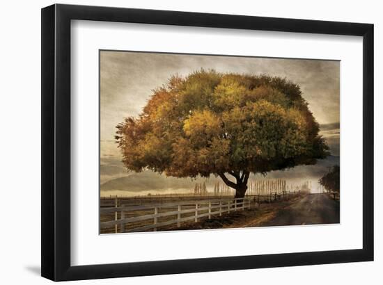 Autumnal Landscape-David Winston-Framed Giclee Print