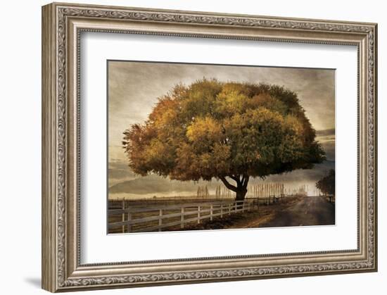 Autumnal Landscape-David Winston-Framed Giclee Print