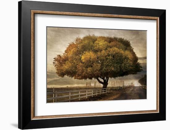 Autumnal Landscape-David Winston-Framed Giclee Print