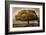 Autumnal Landscape-David Winston-Framed Giclee Print