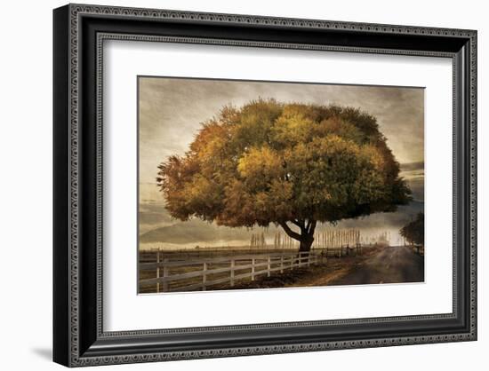 Autumnal Landscape-David Winston-Framed Giclee Print