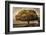 Autumnal Landscape-David Winston-Framed Giclee Print