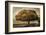 Autumnal Landscape-David Winston-Framed Giclee Print