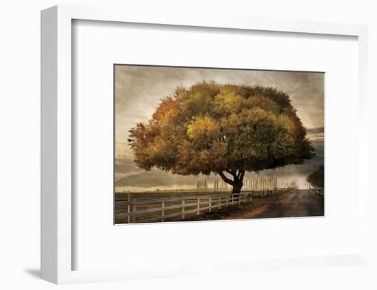 Autumnal Landscape-David Winston-Framed Giclee Print