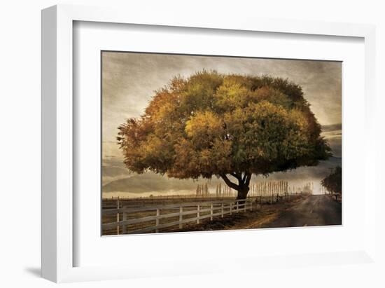 Autumnal Landscape-David Winston-Framed Giclee Print