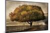 Autumnal Landscape-David Winston-Mounted Giclee Print