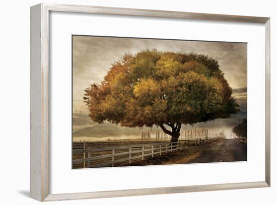 Autumnal Landscape-David Winston-Framed Giclee Print