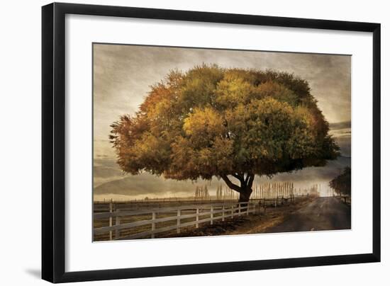 Autumnal Landscape-David Winston-Framed Giclee Print