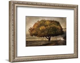 Autumnal Landscape-David Lorenz Winston-Framed Art Print