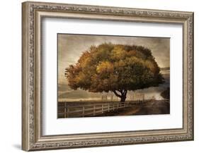 Autumnal Landscape-David Lorenz Winston-Framed Art Print