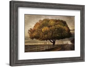 Autumnal Landscape-David Lorenz Winston-Framed Art Print