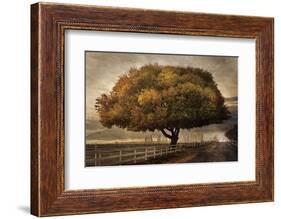 Autumnal Landscape-David Lorenz Winston-Framed Art Print