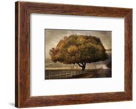 Autumnal Landscape-David Lorenz Winston-Framed Art Print