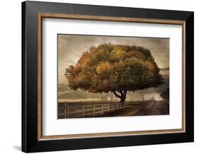 Autumnal Landscape-David Lorenz Winston-Framed Art Print