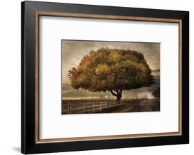 Autumnal Landscape-David Lorenz Winston-Framed Art Print