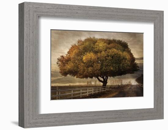 Autumnal Landscape-David Lorenz Winston-Framed Art Print