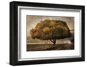 Autumnal Landscape-David Lorenz Winston-Framed Art Print