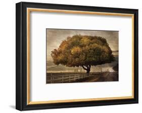 Autumnal Landscape-David Lorenz Winston-Framed Art Print