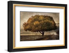 Autumnal Landscape-David Lorenz Winston-Framed Art Print