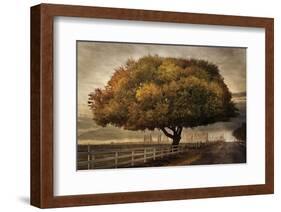 Autumnal Landscape-David Lorenz Winston-Framed Art Print