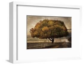 Autumnal Landscape-David Lorenz Winston-Framed Art Print